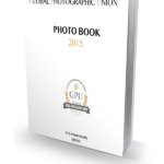 Download the GPU Photobook for the year 2015.